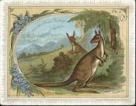 Australian Antique and Art Dealers Association's catalogue