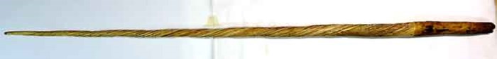 15-12-08-2220NE06B antique narwhal tusk.jpg