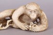 Ivory monkey