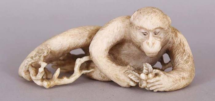 Ivory monkey