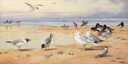 Archibald Thorburn seagulls fly high at Tennants