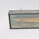 Taxidermy eel by EF Spicer and Sons