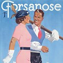 Vintage poster Swiss resort Forsanose