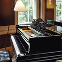 Sting’s Steinway grand piano