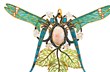 Lalique dragonfly pendant 