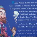 A Harry Potter book
