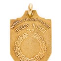 Pelé’s 1958 World Cup  medal