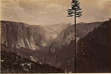 Early images of Yosemite and Yellowstone emerge in US sales