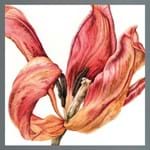 Dealer news in brief including an upcoming show of Botanical art