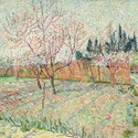 Verger avec Cyprès by Vincent van Gogh