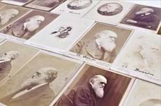 The £126,000 photos of Darwin’s evolution