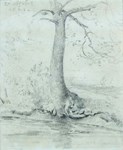 Constable’s tree sketch triples estimate at auction