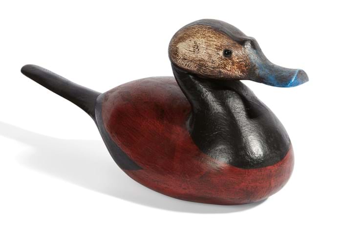 Ruddy Duck by Guy Taplin