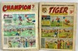 Tiger comic