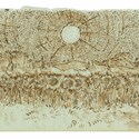 Vincent van Gogh The Lost Arles Sketchbook