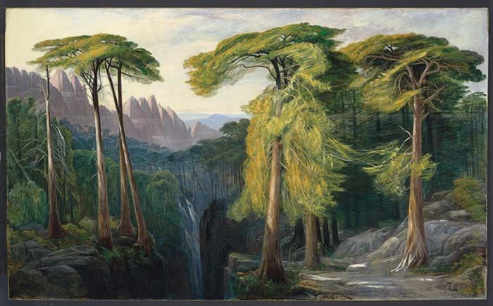 The Forest of Bavella by Edward Lear