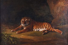 Famous tiger burns bright – despite being a copy