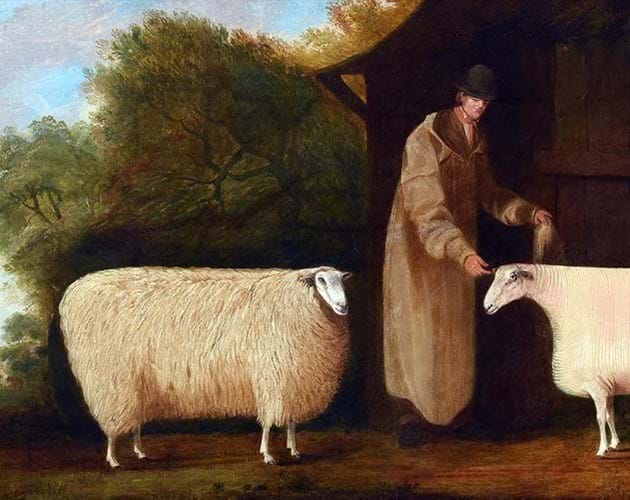 Shepherd and sheep picture detail