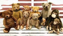Ready teddy go for keen collectors in Kensington
