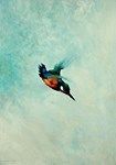 Ching kingfishers catch bids