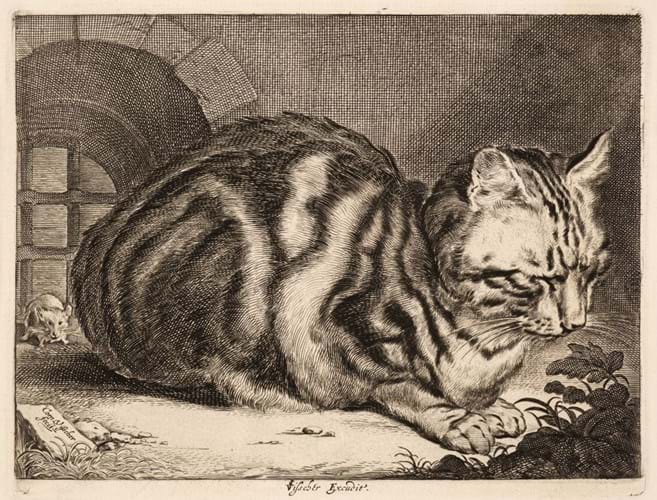 Cornelis Visscher cat print