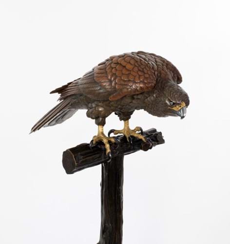 Bronze hawk