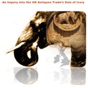 ivory report front cover